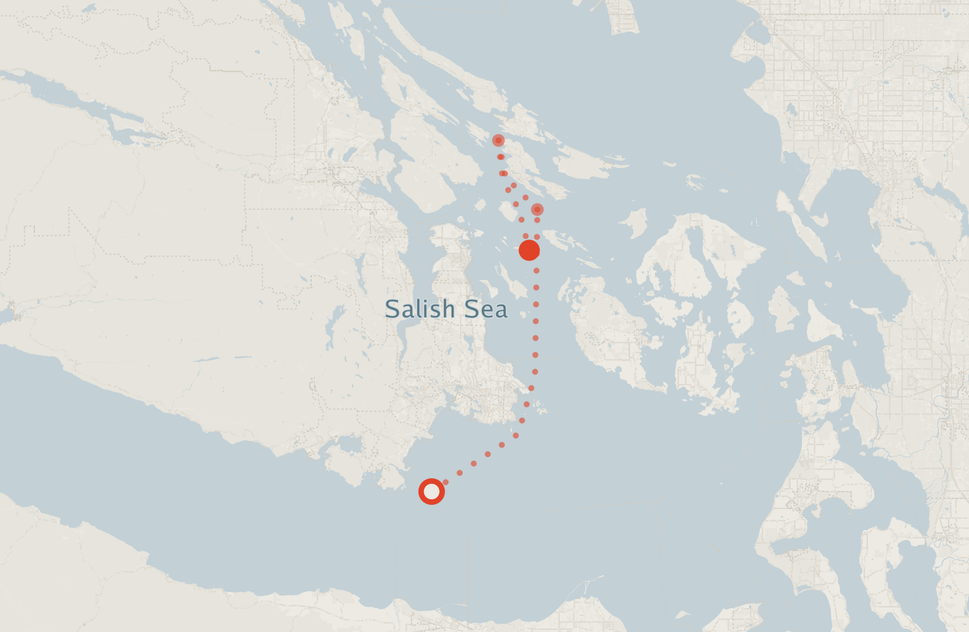 Activity map — real sighting points on an OpenStreetMap basemap