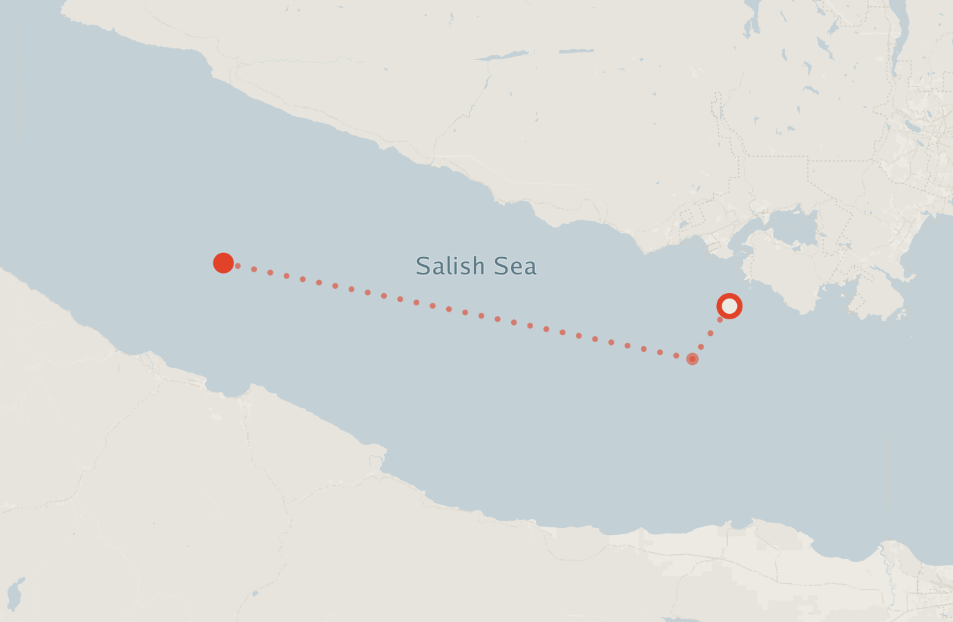 Activity map — real sighting points on an OpenStreetMap basemap