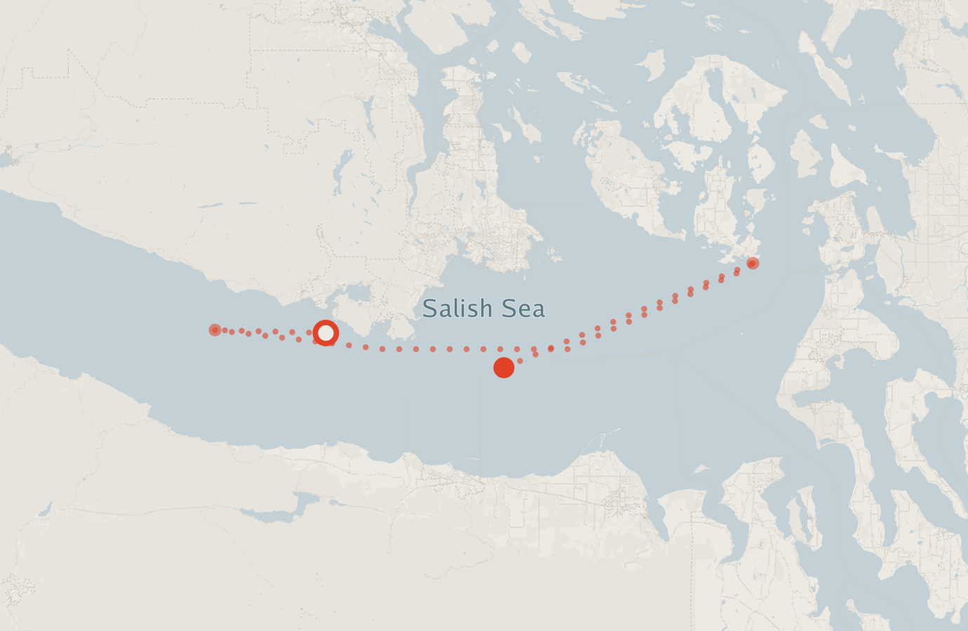 Activity map — real sighting points on an OpenStreetMap basemap