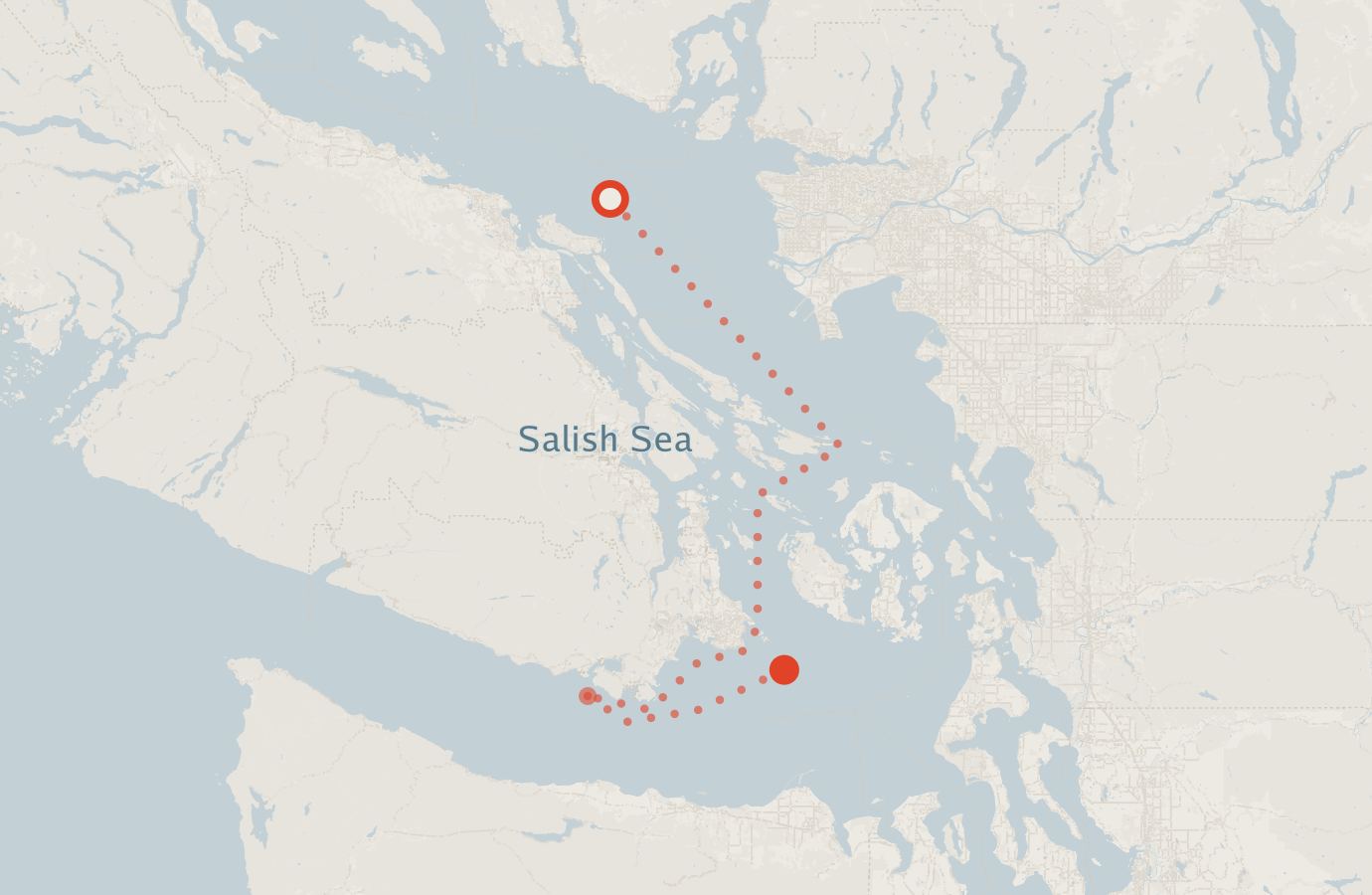 Activity map — real sighting points on an OpenStreetMap basemap