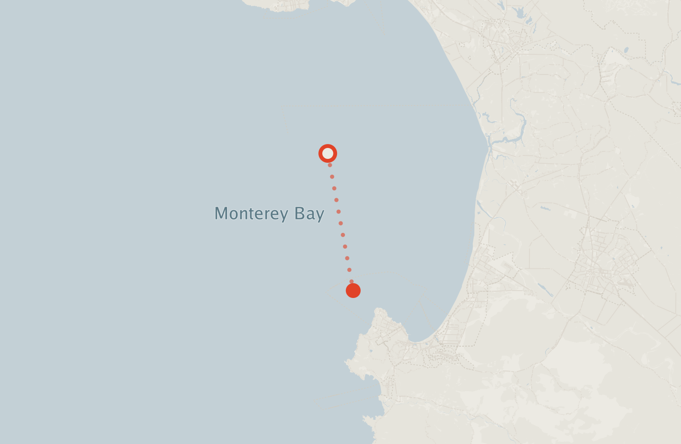 Activity map — real sighting points on an OpenStreetMap basemap