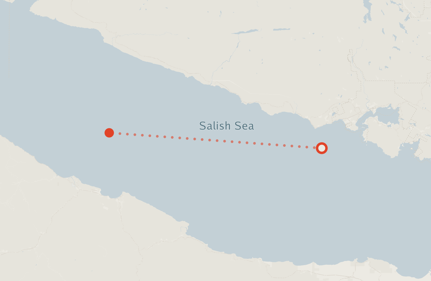 Activity map — real sighting points on an OpenStreetMap basemap