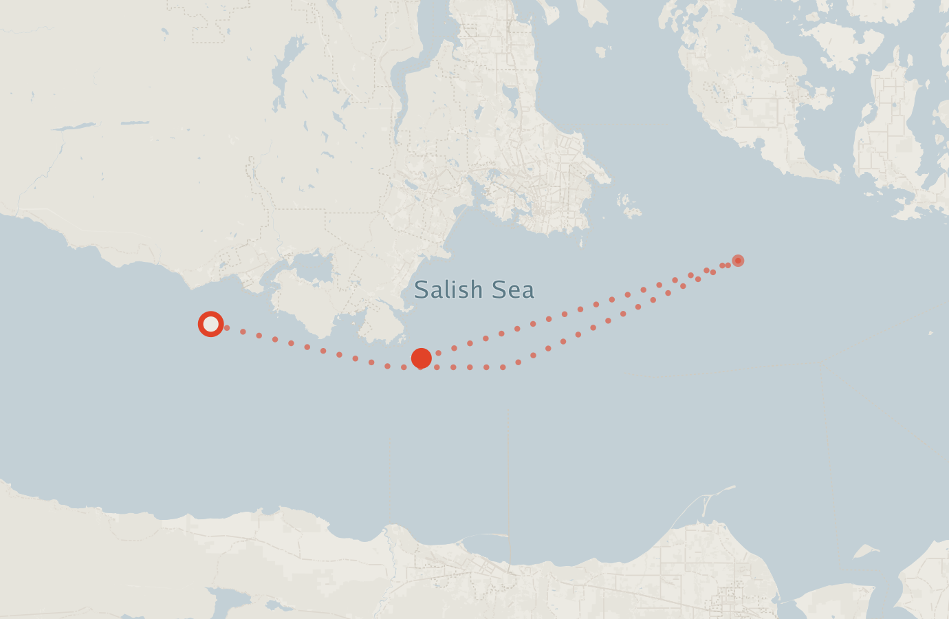 Activity map — real sighting points on an OpenStreetMap basemap