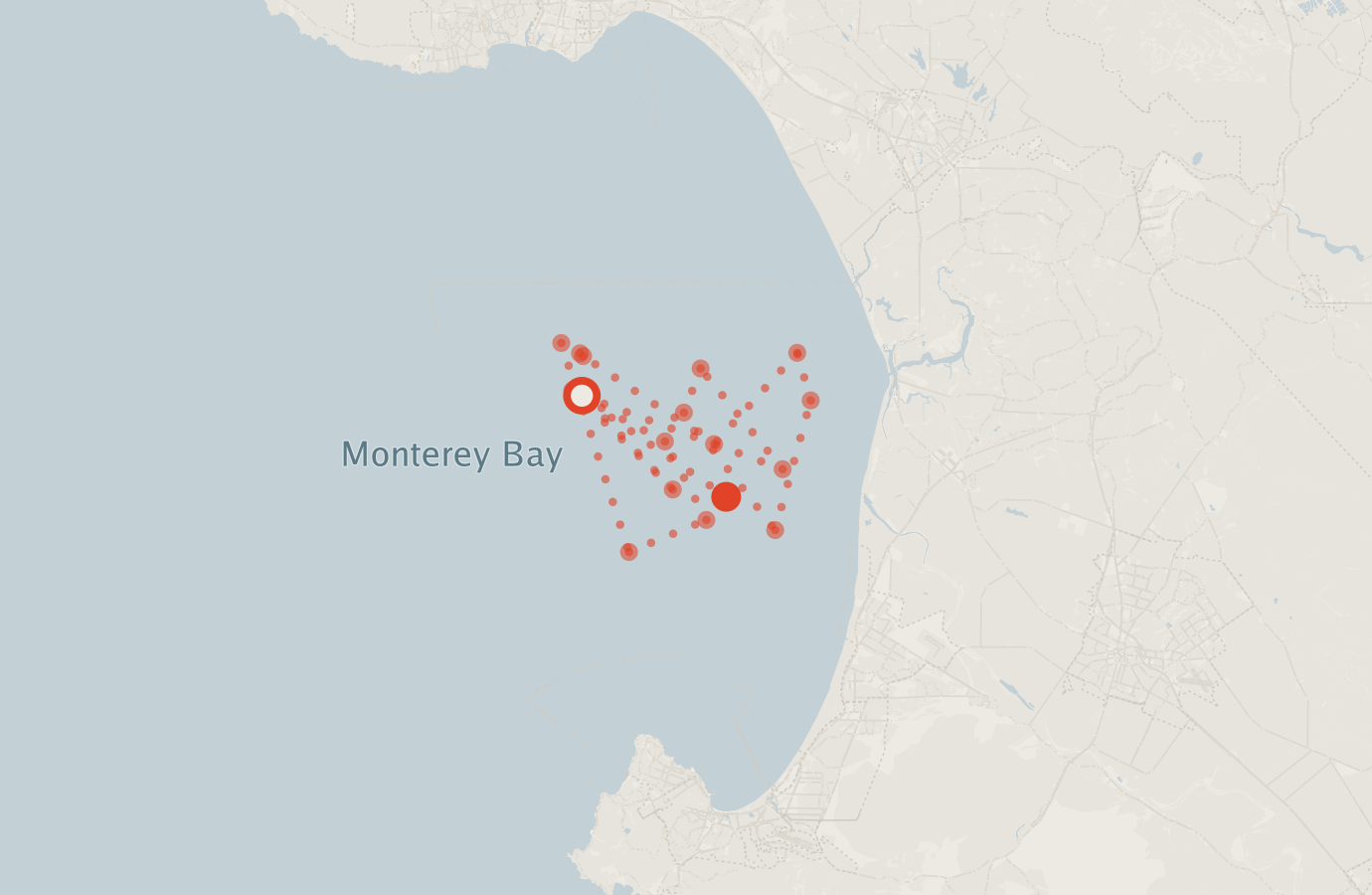 Activity map — real sighting points on an OpenStreetMap basemap