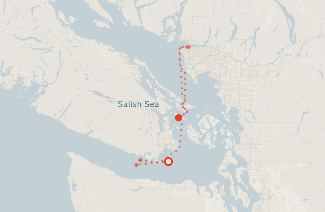 Activity map — real sighting points on an OpenStreetMap basemap