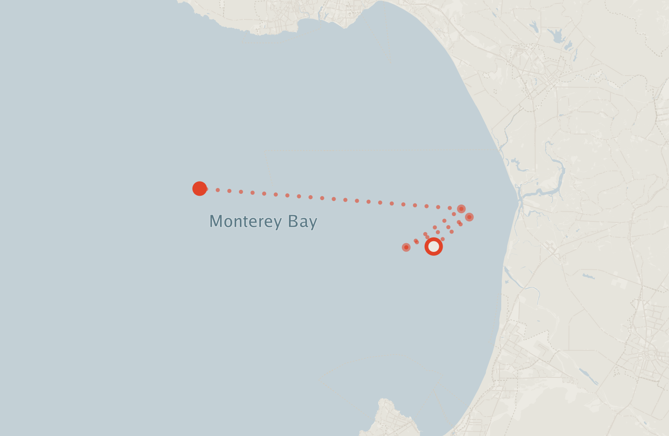Activity map — real sighting points on an OpenStreetMap basemap