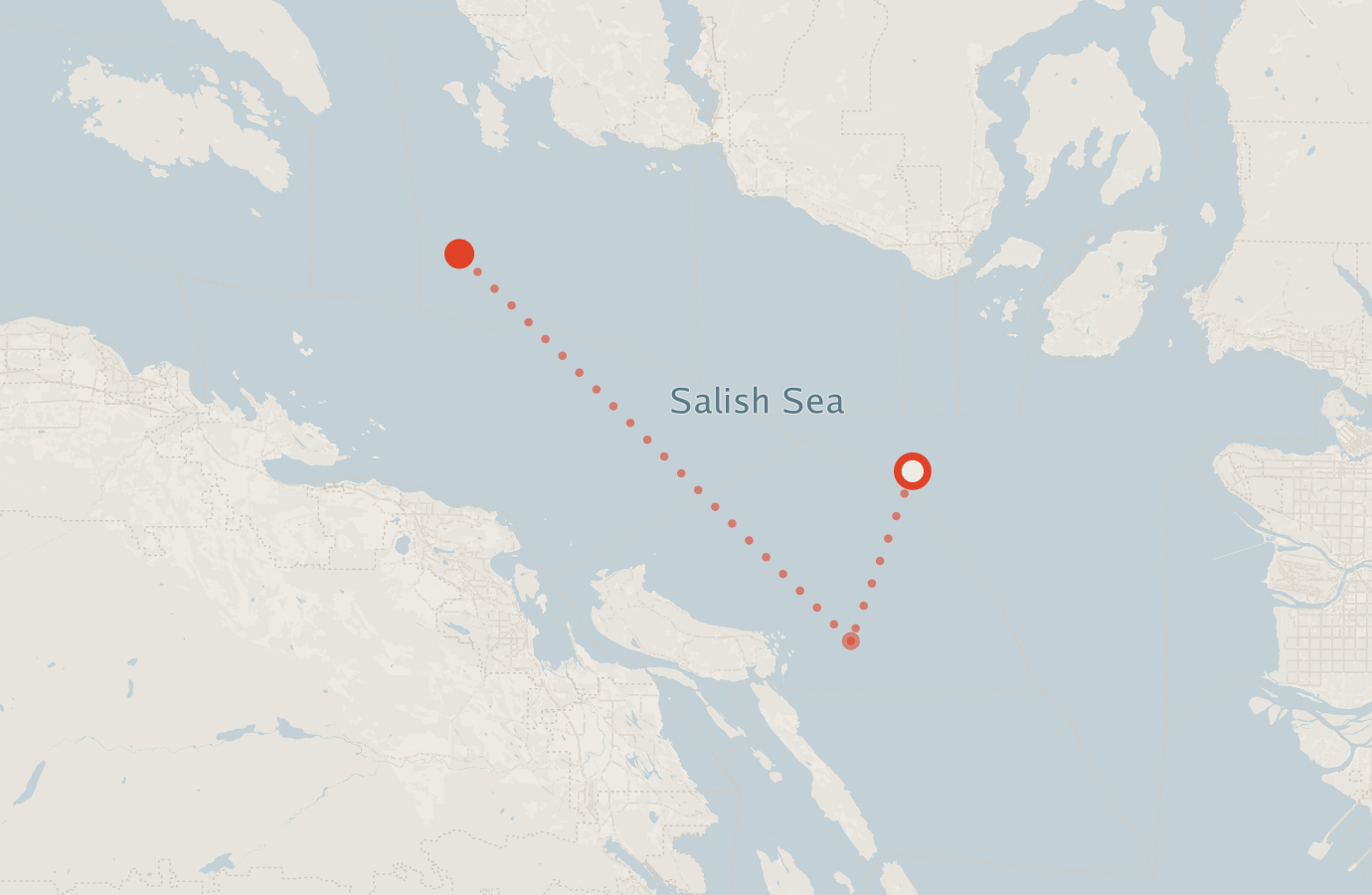 Activity map — real sighting points on an OpenStreetMap basemap