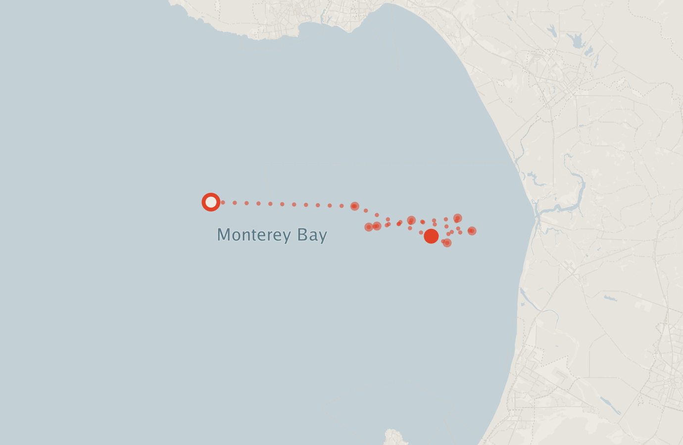 Activity map — real sighting points on an OpenStreetMap basemap