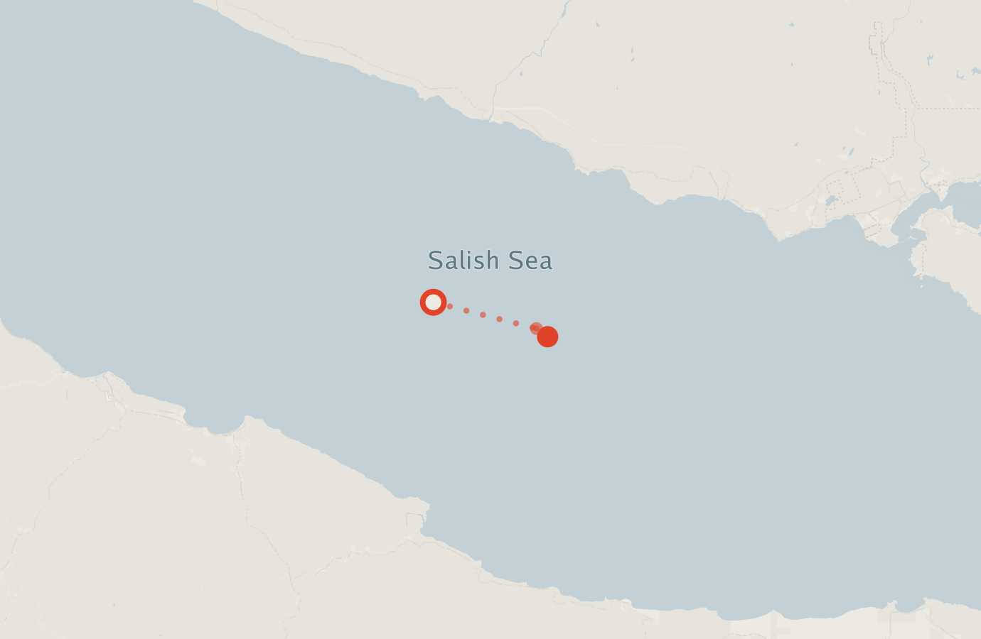 Activity map — real sighting points on an OpenStreetMap basemap