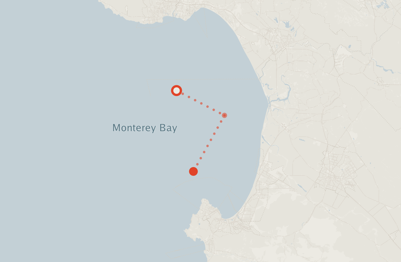 Activity map — real sighting points on an OpenStreetMap basemap
