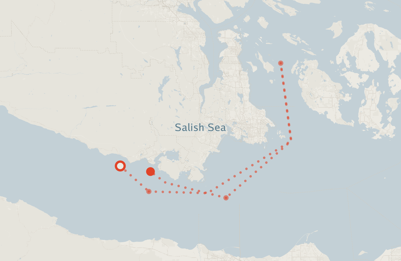 Activity map — real sighting points on an OpenStreetMap basemap