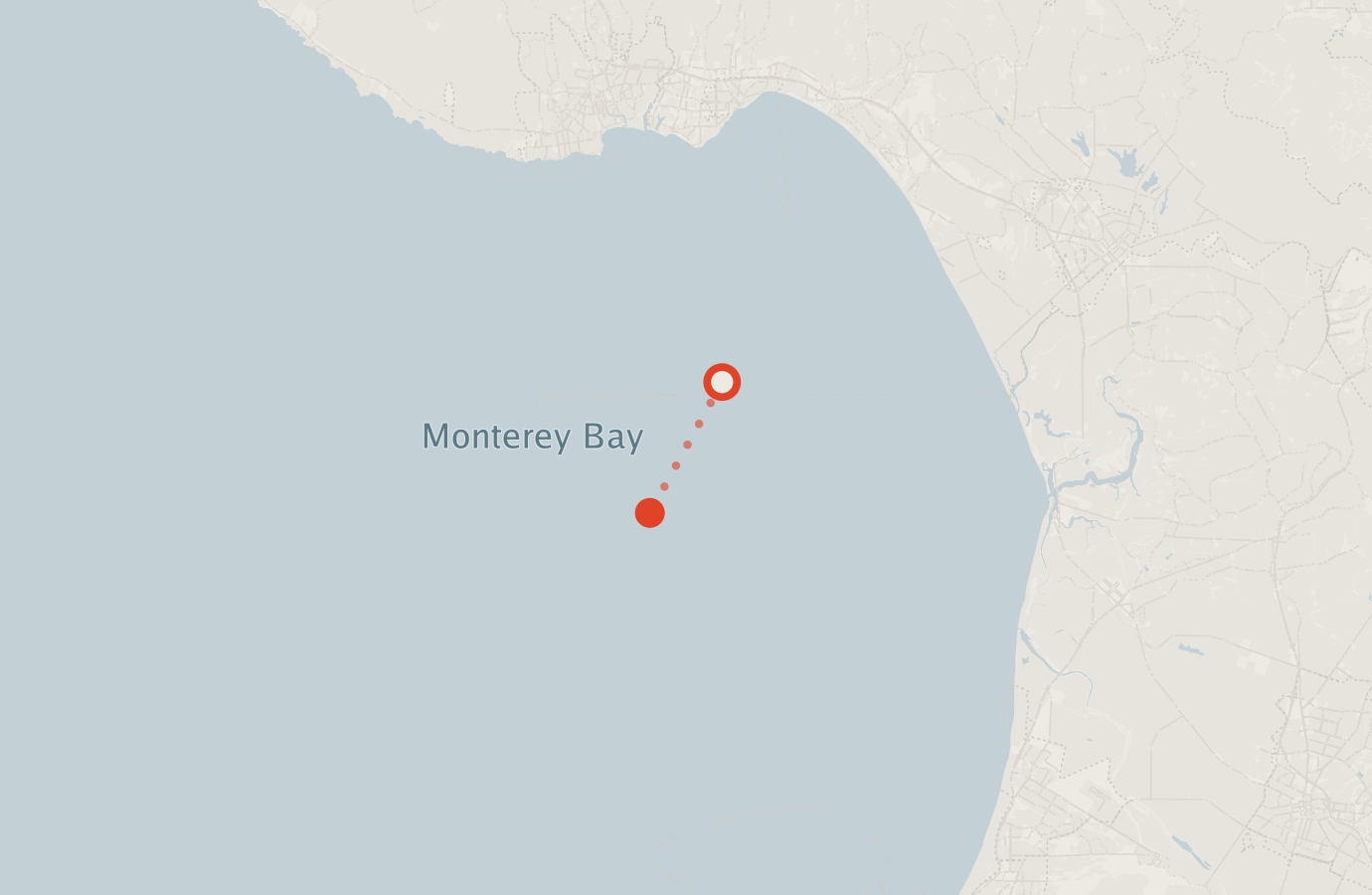 Activity map — real sighting points on an OpenStreetMap basemap