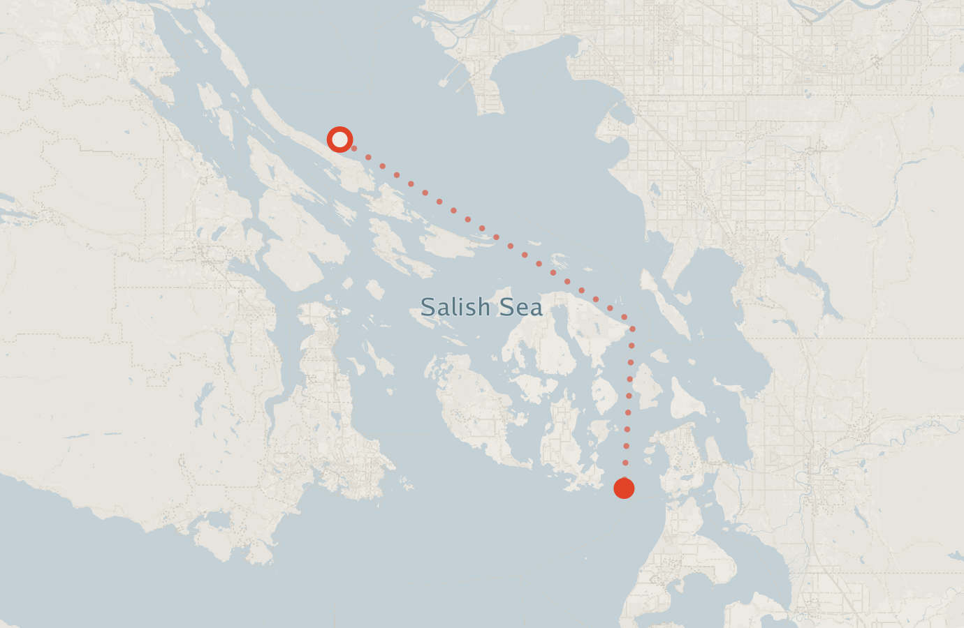 Activity map — real sighting points on an OpenStreetMap basemap