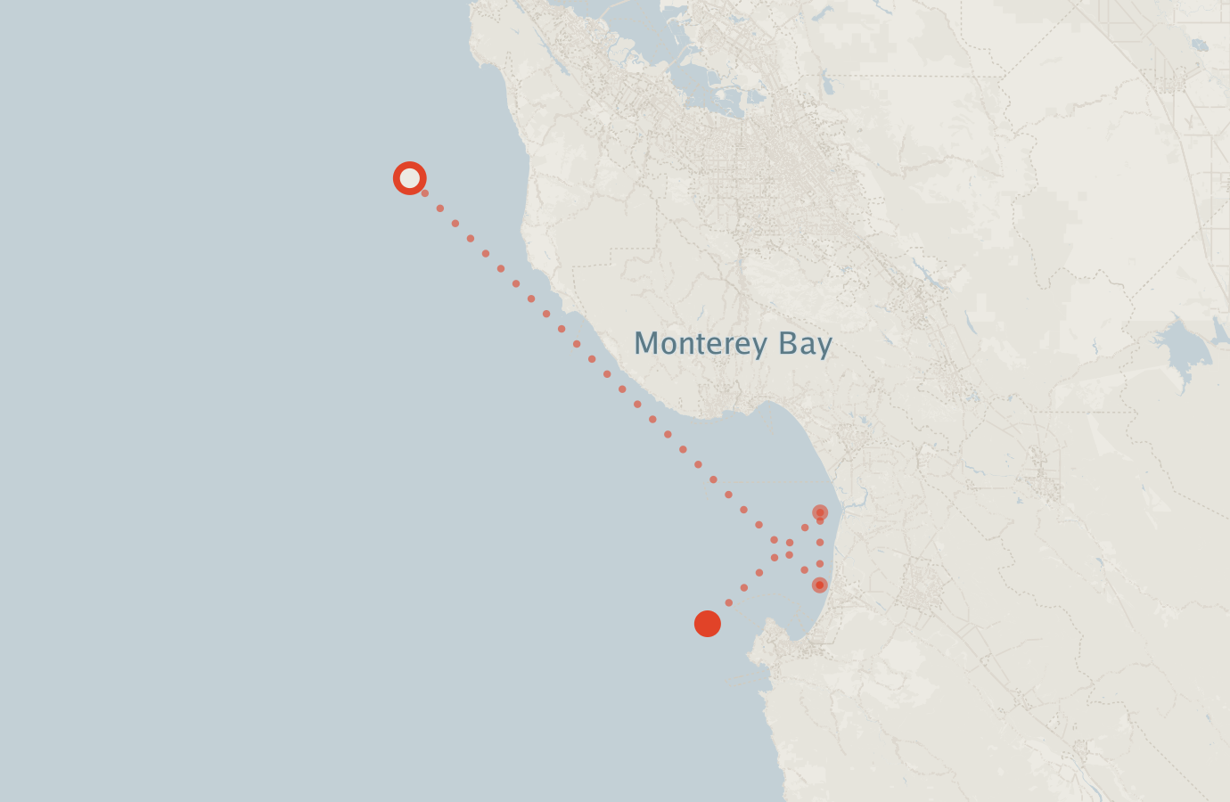 Activity map — real sighting points on an OpenStreetMap basemap