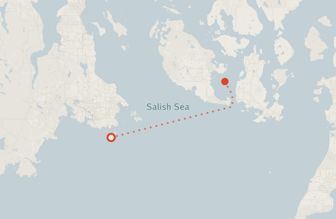 Activity map — real sighting points on an OpenStreetMap basemap