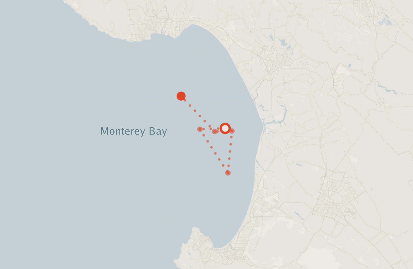 Activity map — real sighting points on an OpenStreetMap basemap
