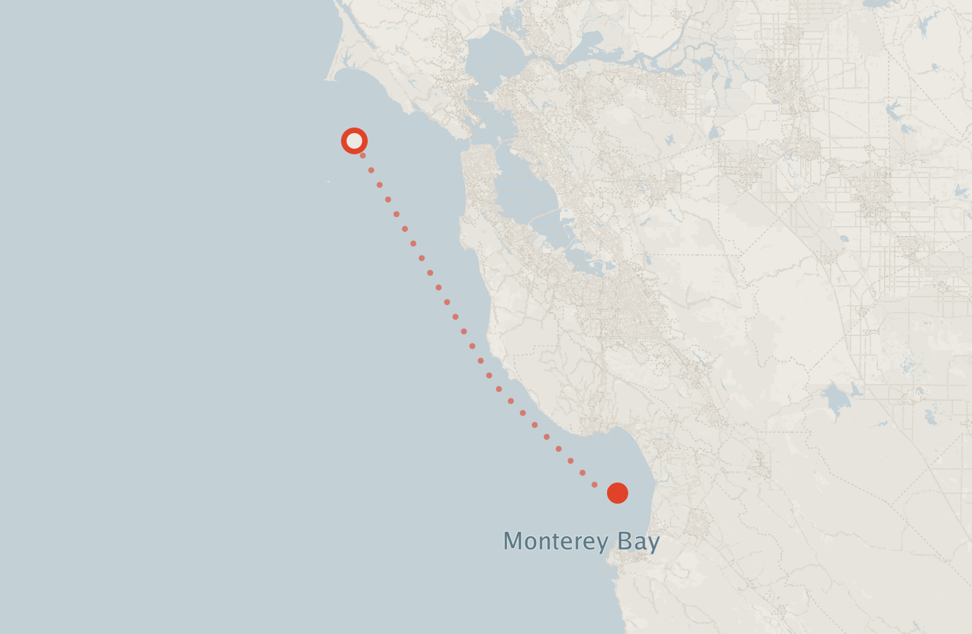 Activity map — real sighting points on an OpenStreetMap basemap