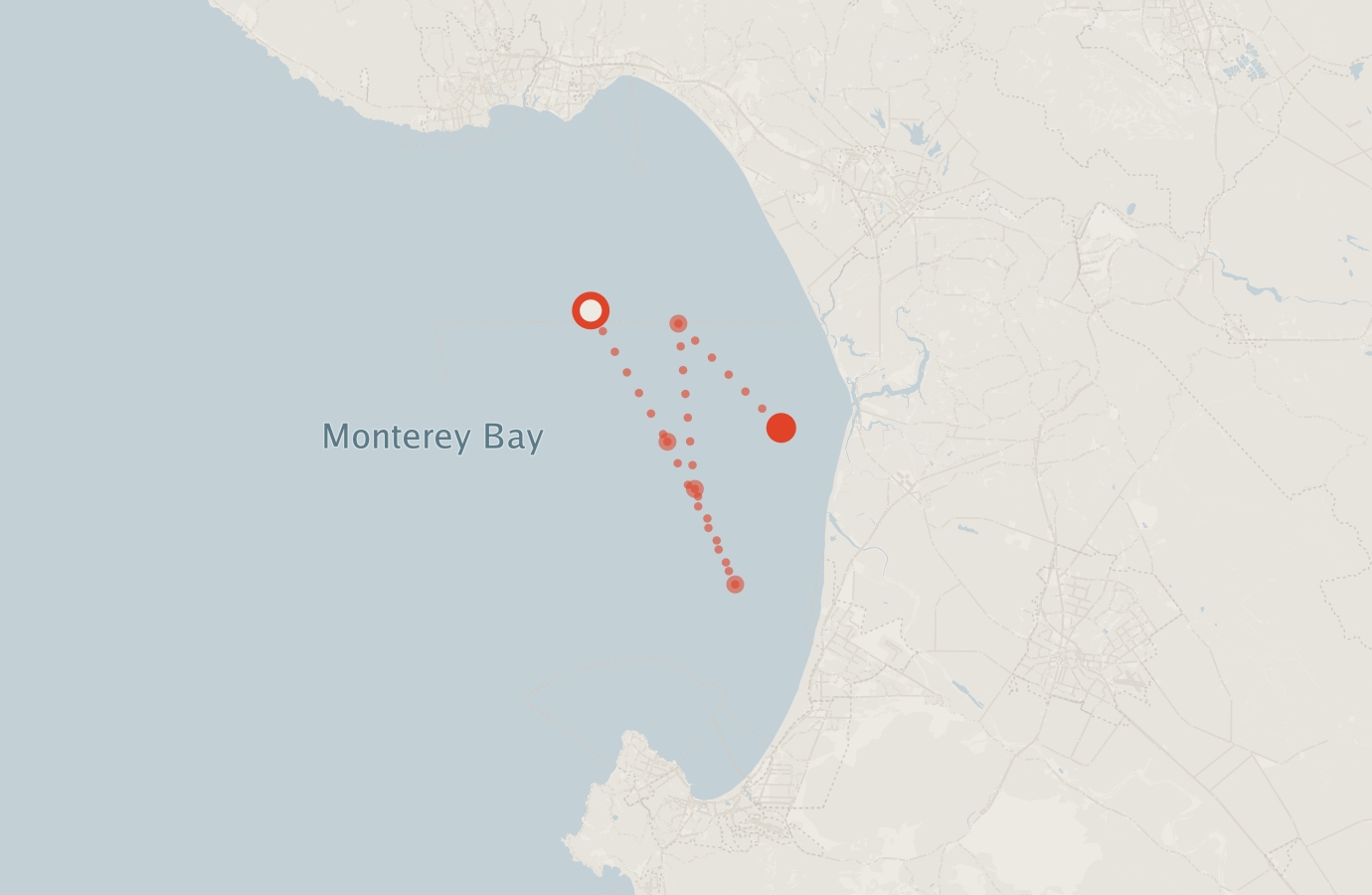 Activity map — real sighting points on an OpenStreetMap basemap