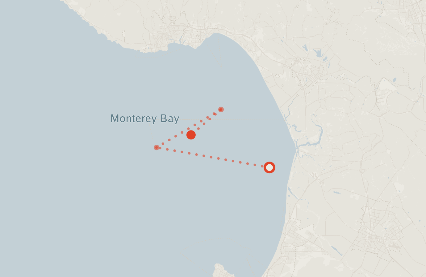 Activity map — real sighting points on an OpenStreetMap basemap