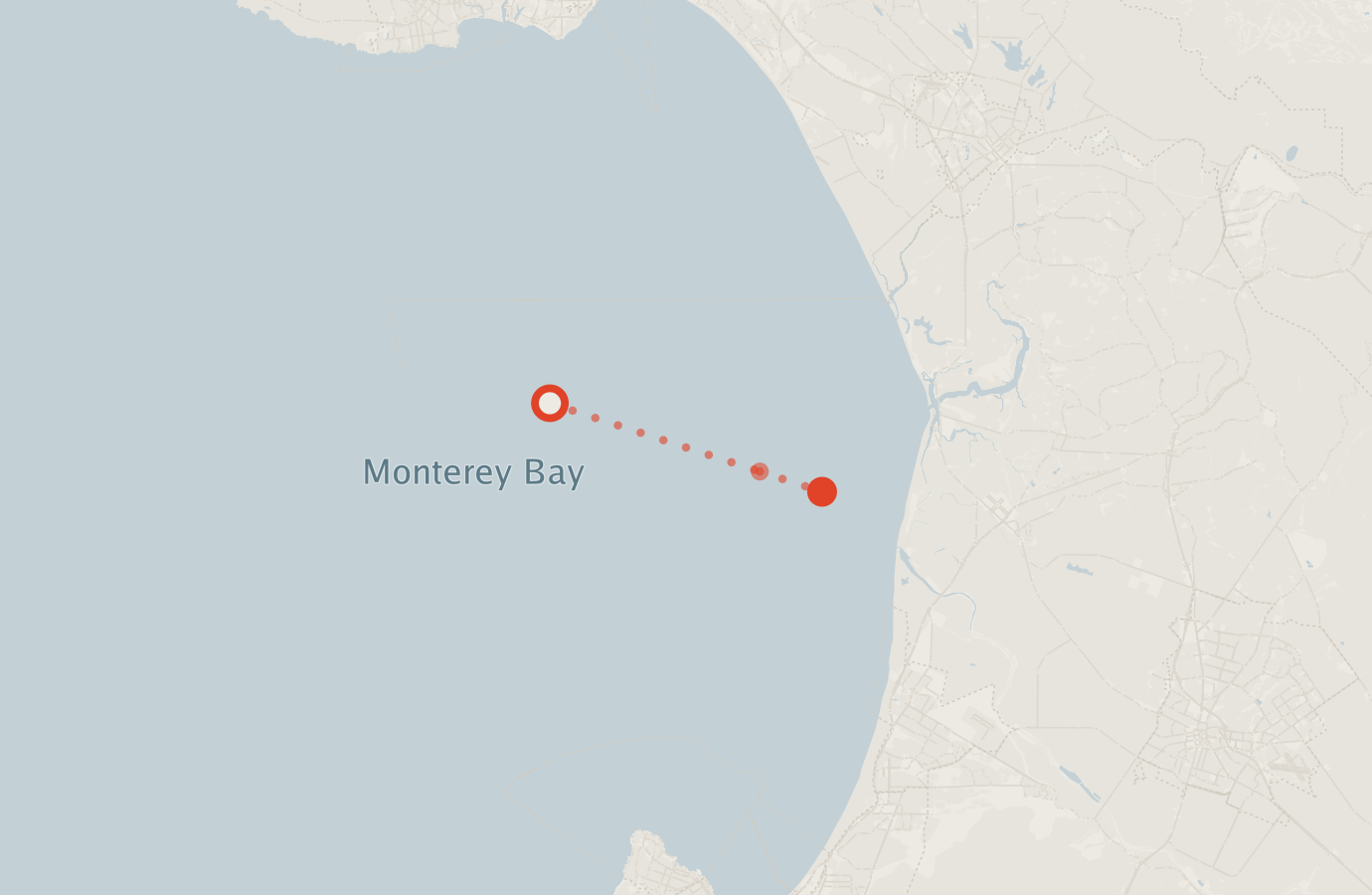 Activity map — real sighting points on an OpenStreetMap basemap