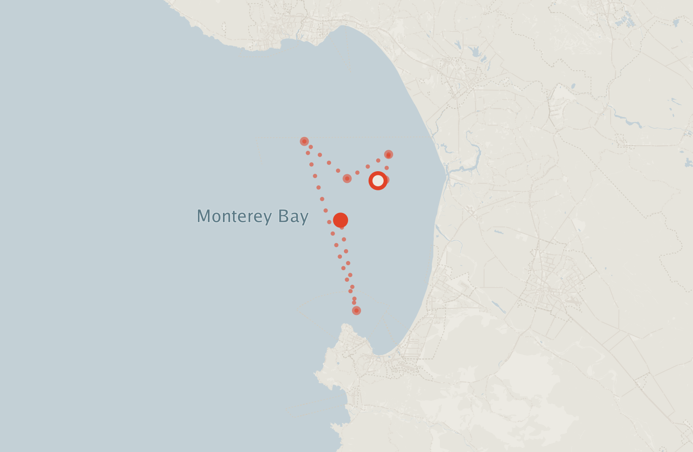Activity map — real sighting points on an OpenStreetMap basemap
