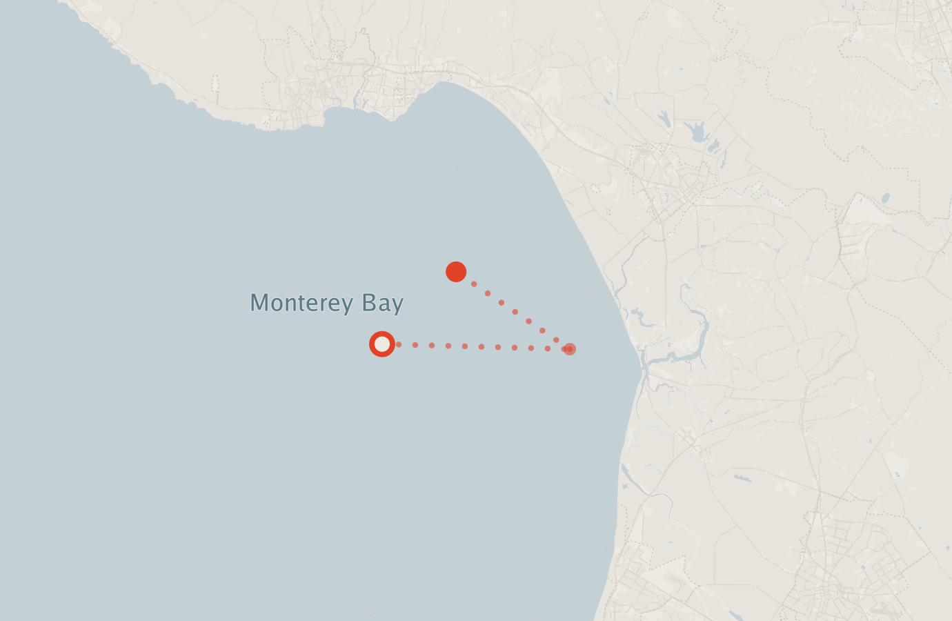 Activity map — real sighting points on an OpenStreetMap basemap