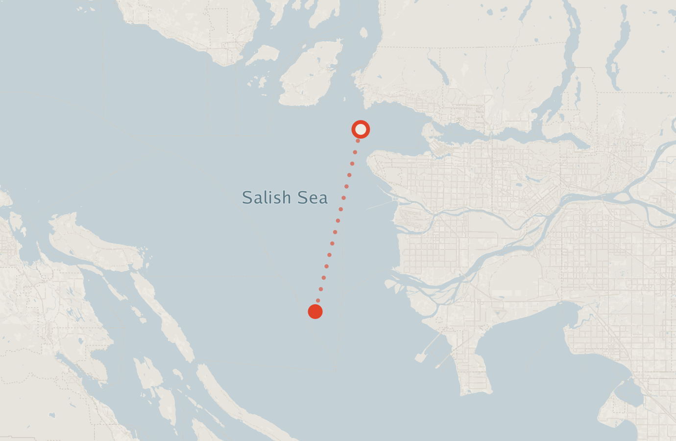 Activity map — real sighting points on an OpenStreetMap basemap