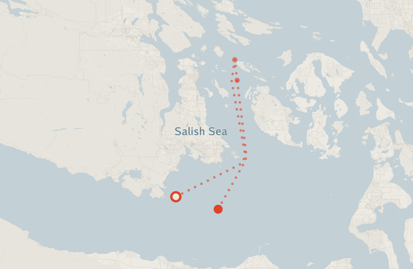 Activity map — real sighting points on an OpenStreetMap basemap