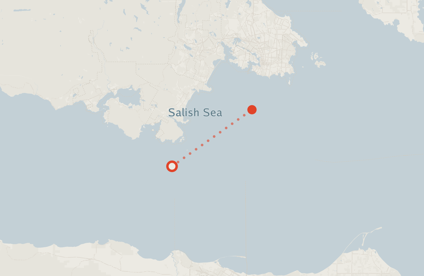 Activity map — real sighting points on an OpenStreetMap basemap