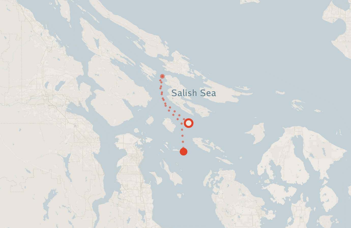 Activity map — real sighting points on an OpenStreetMap basemap