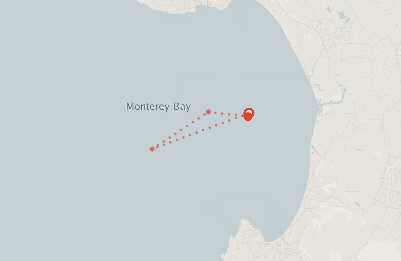 Activity map — real sighting points on an OpenStreetMap basemap