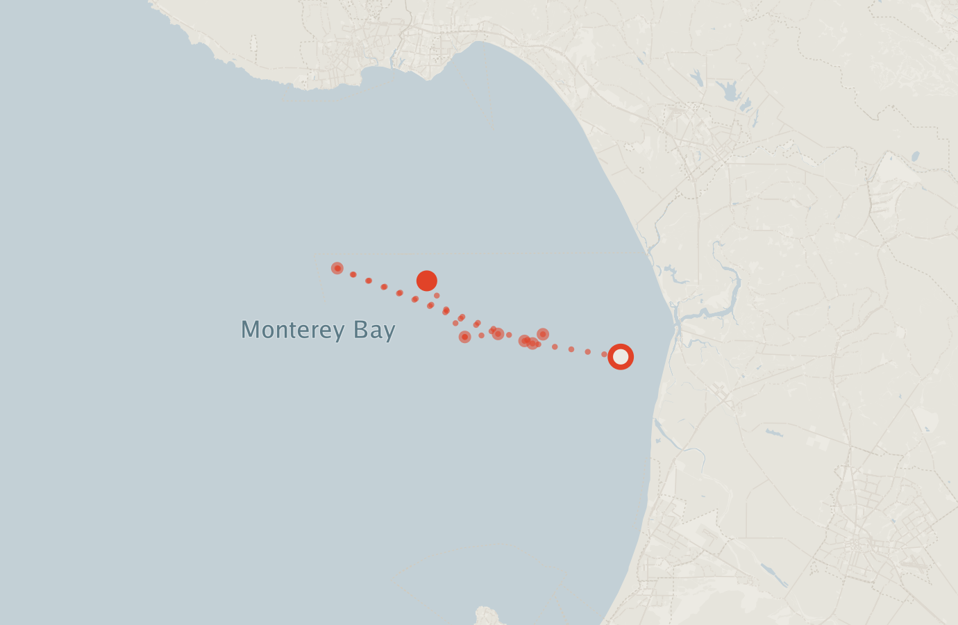 Activity map — real sighting points on an OpenStreetMap basemap