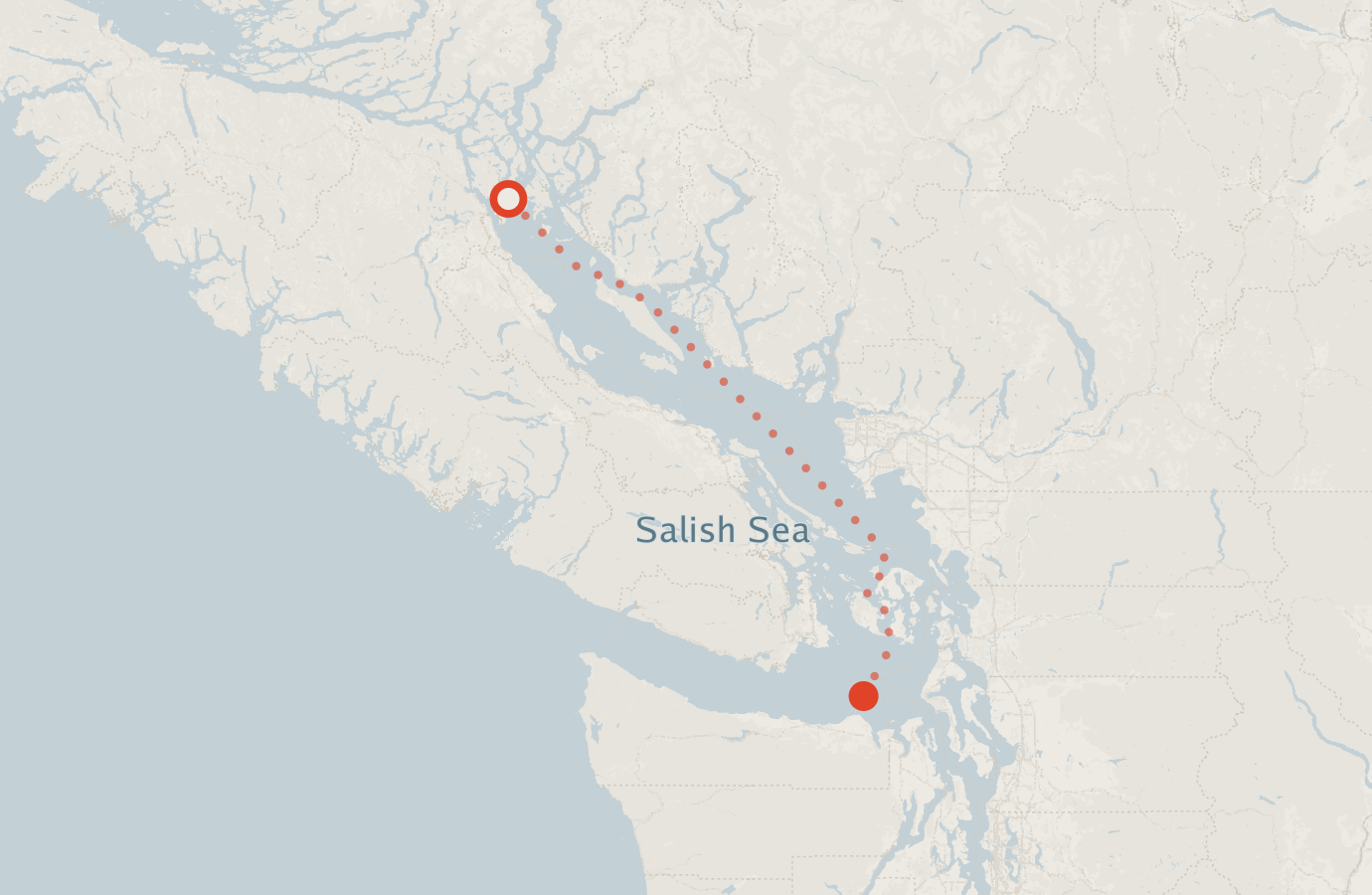 Activity map — real sighting points on an OpenStreetMap basemap