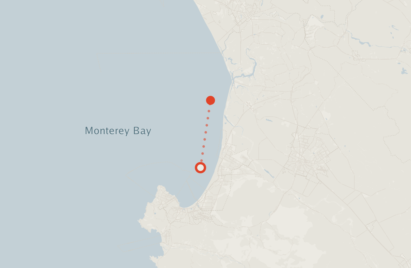 Activity map — real sighting points on an OpenStreetMap basemap
