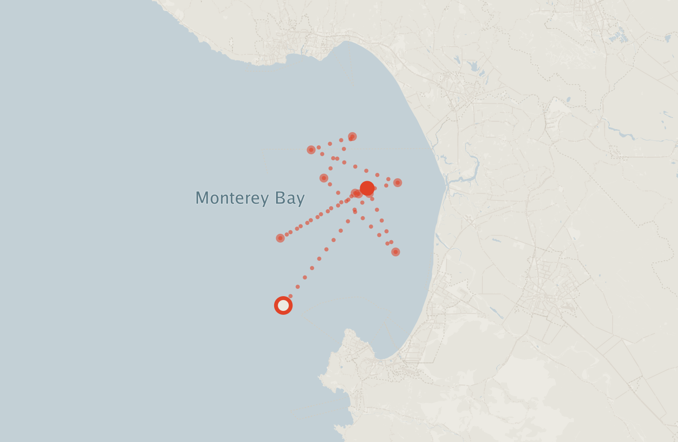 Activity map — real sighting points on an OpenStreetMap basemap
