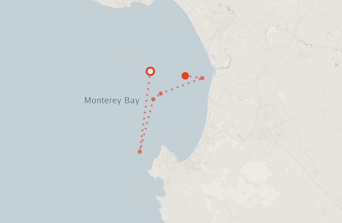 Activity map — real sighting points on an OpenStreetMap basemap
