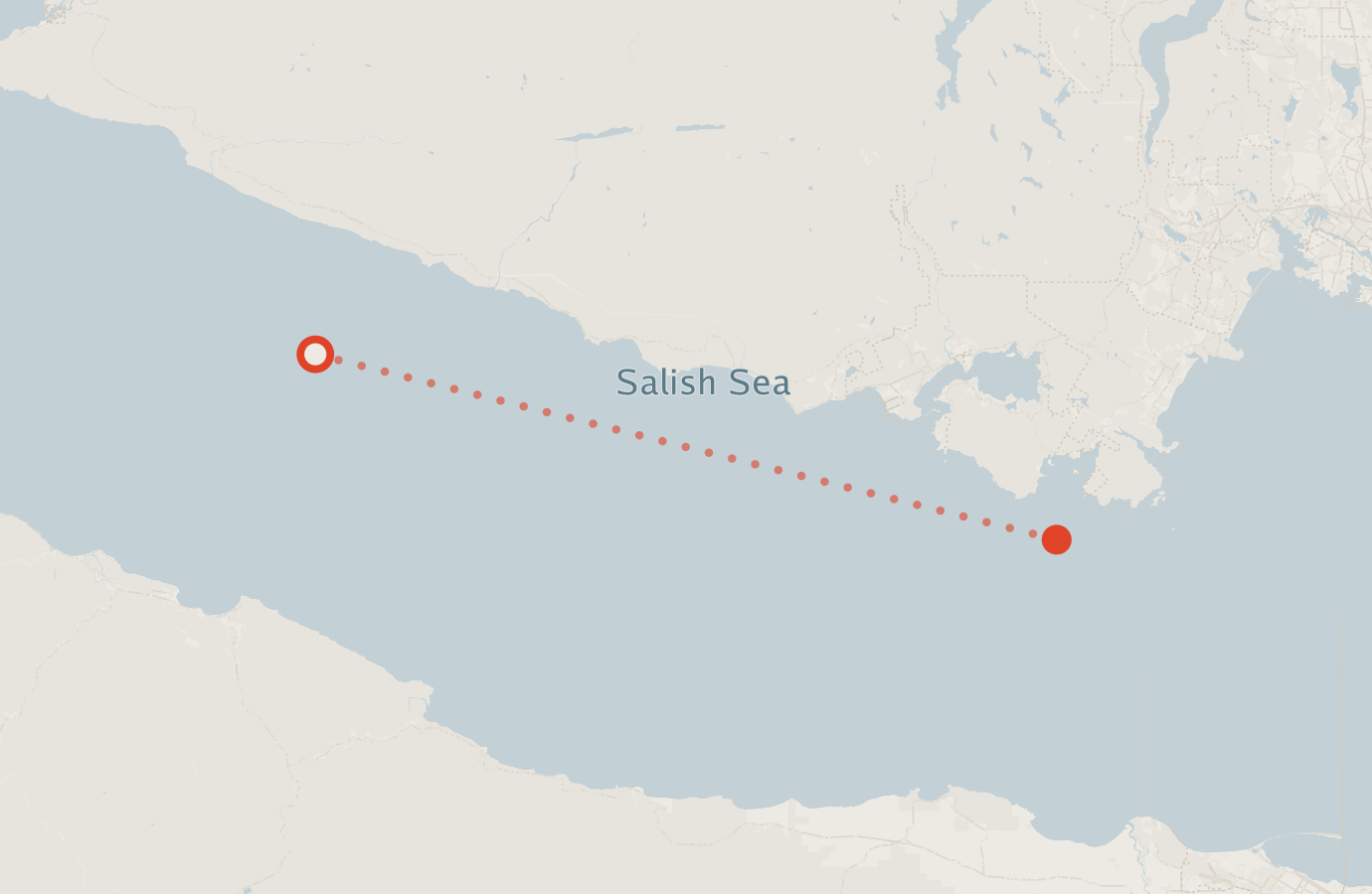 Activity map — real sighting points on an OpenStreetMap basemap
