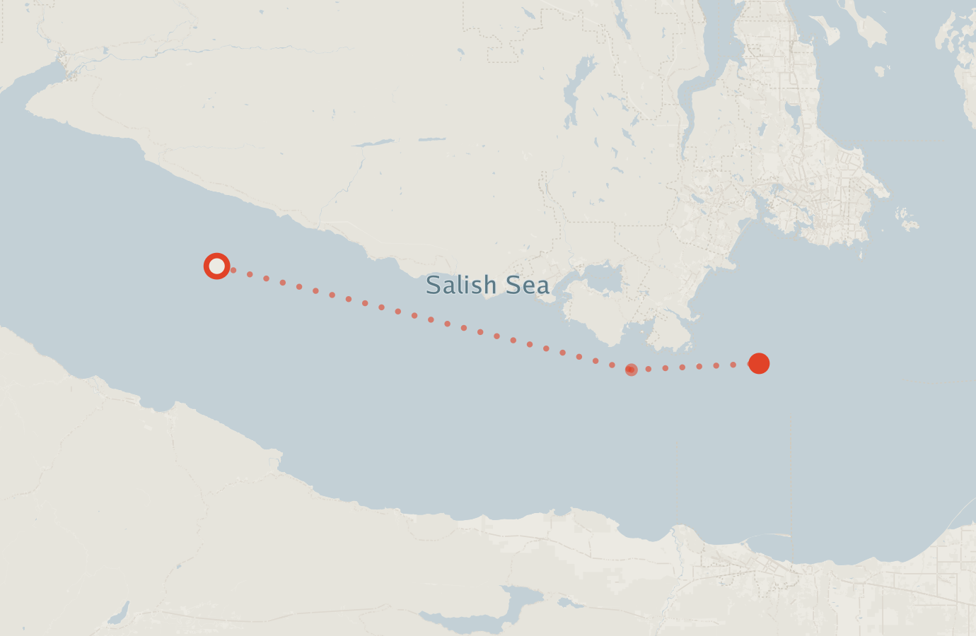 Activity map — real sighting points on an OpenStreetMap basemap