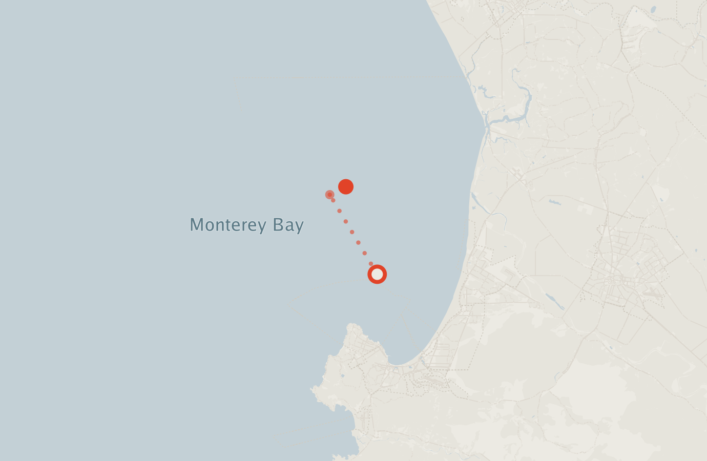 Activity map — real sighting points on an OpenStreetMap basemap