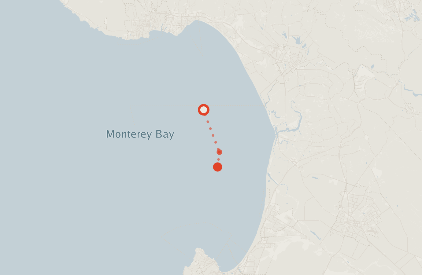 Activity map — real sighting points on an OpenStreetMap basemap