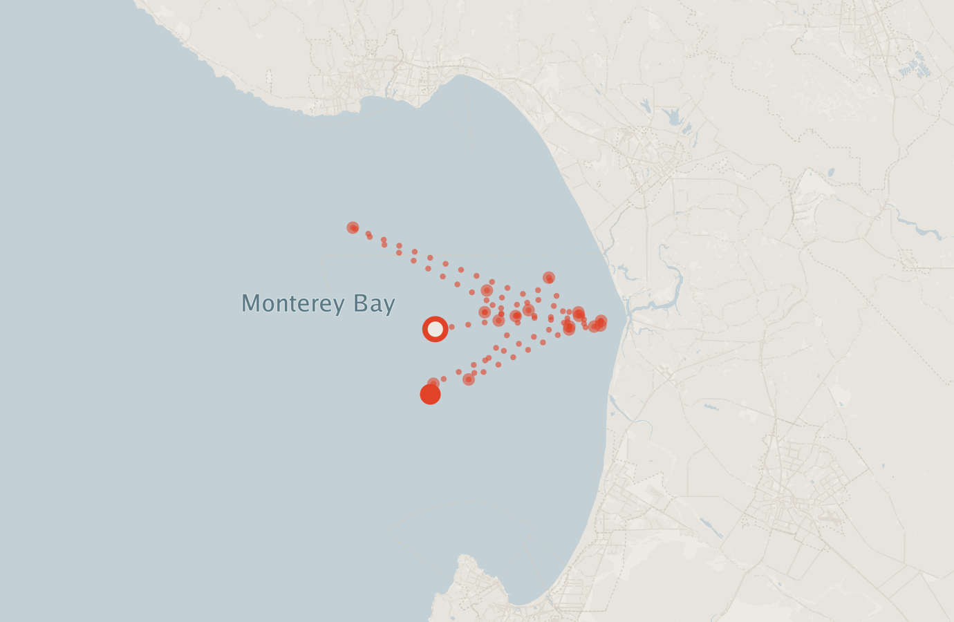 Activity map — real sighting points on an OpenStreetMap basemap