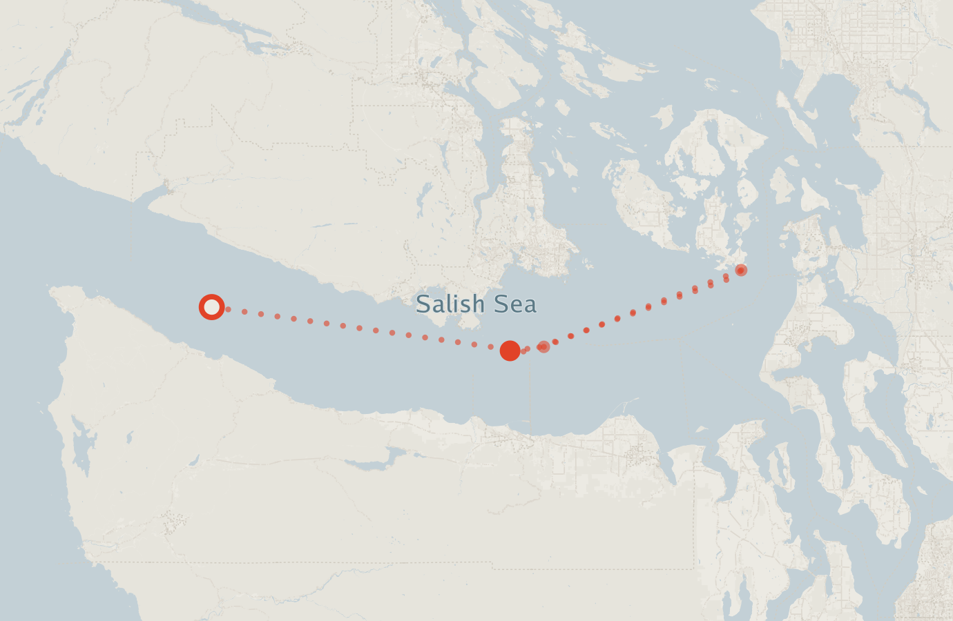 Activity map — real sighting points on an OpenStreetMap basemap