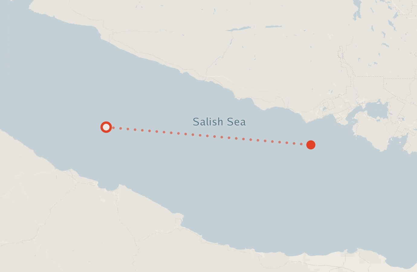 Activity map — real sighting points on an OpenStreetMap basemap