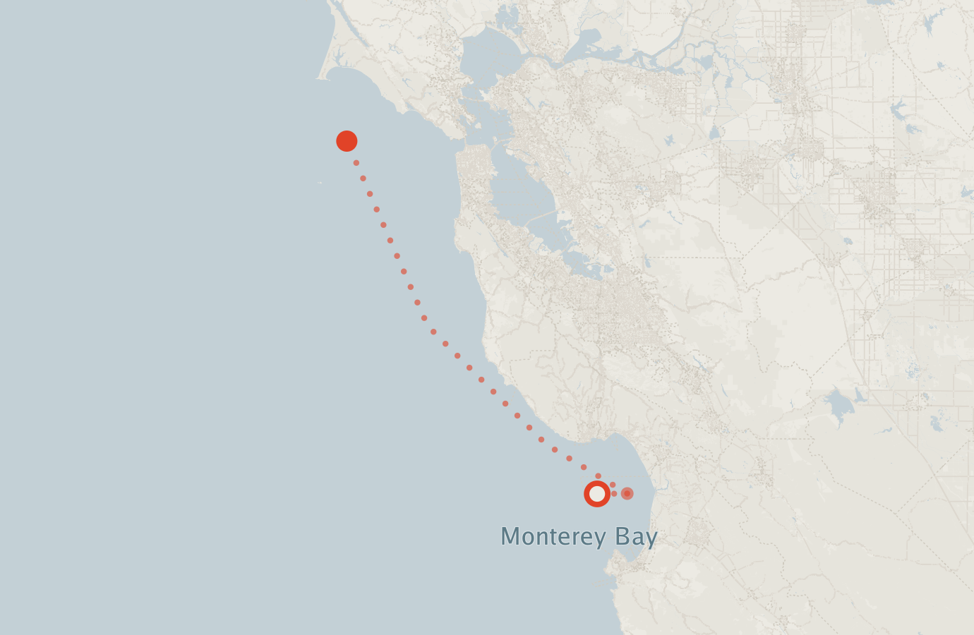 Activity map — real sighting points on an OpenStreetMap basemap