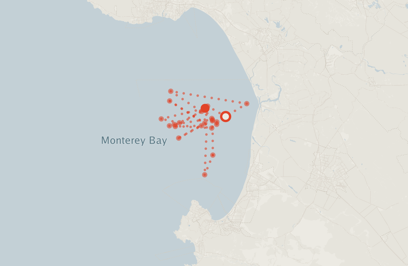 Activity map — real sighting points on an OpenStreetMap basemap