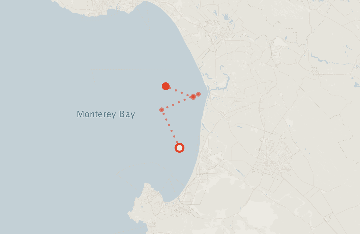 Activity map — real sighting points on an OpenStreetMap basemap