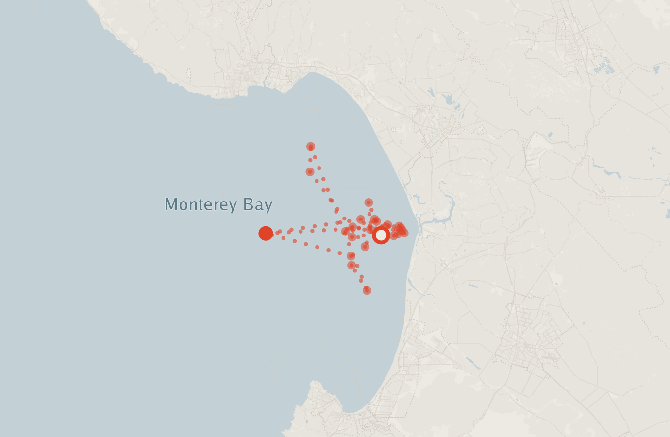 Activity map — real sighting points on an OpenStreetMap basemap