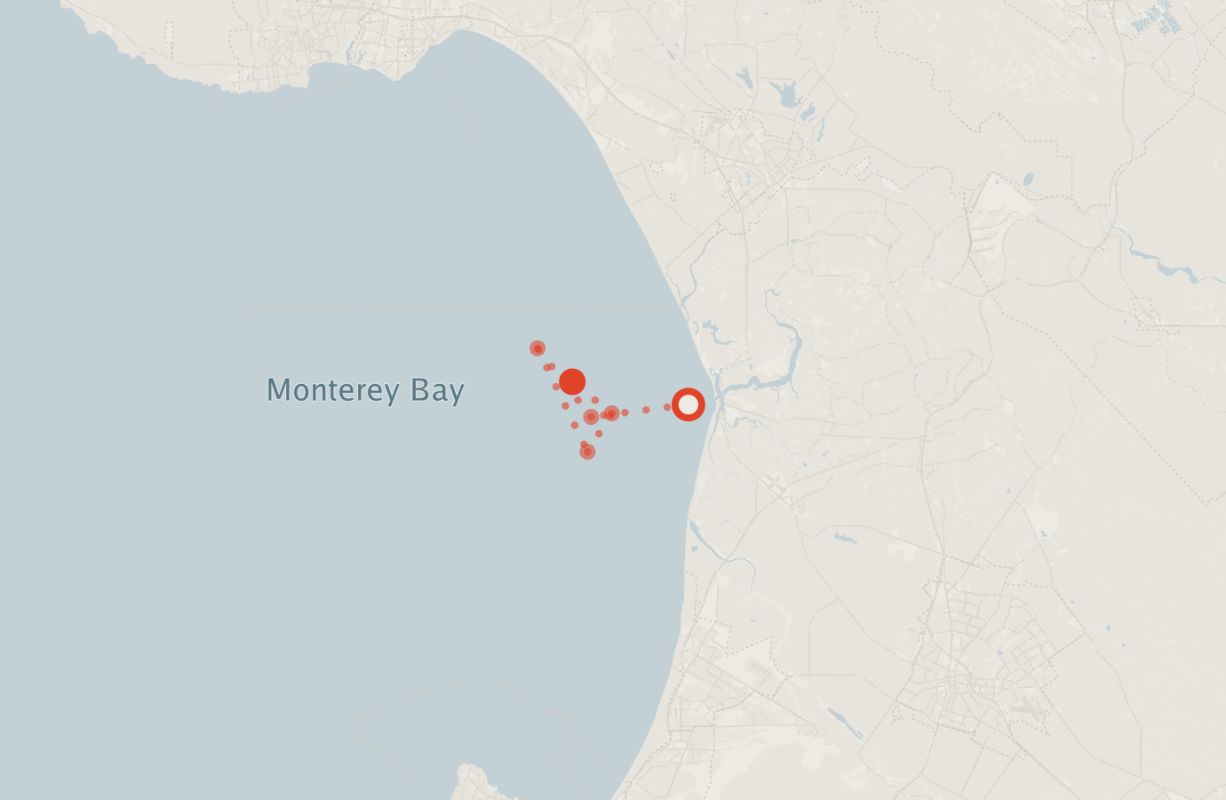 Activity map — real sighting points on an OpenStreetMap basemap