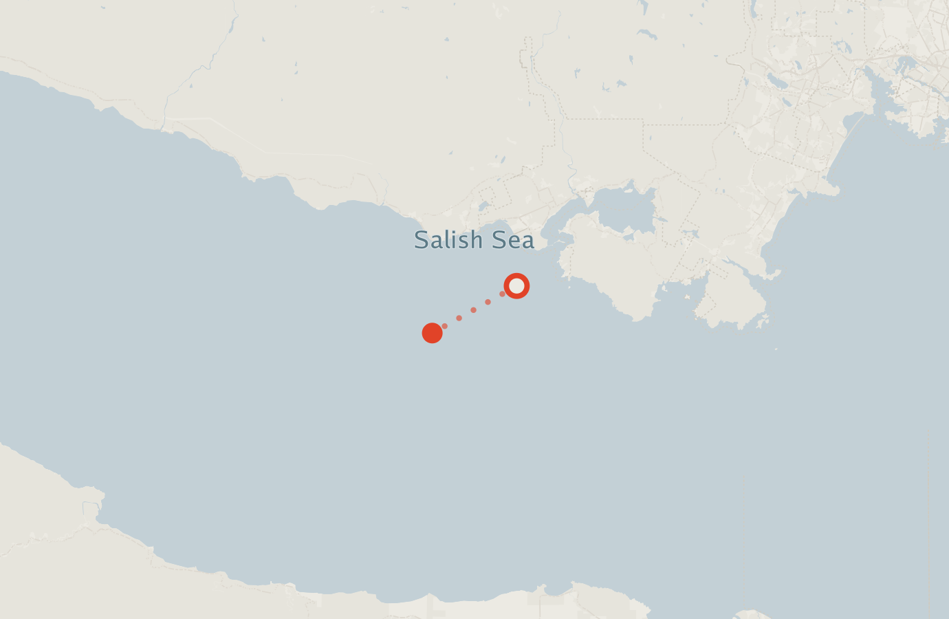 Activity map — real sighting points on an OpenStreetMap basemap