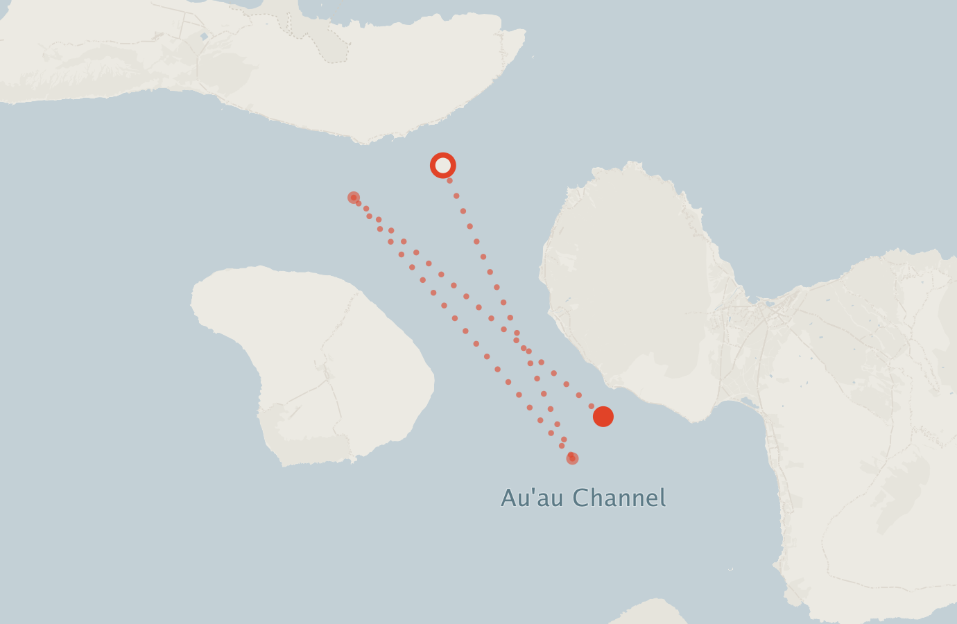 Activity map — real sighting points on an OpenStreetMap basemap